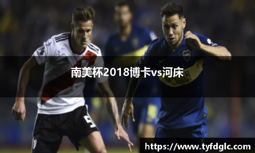 南美杯2018博卡vs河床